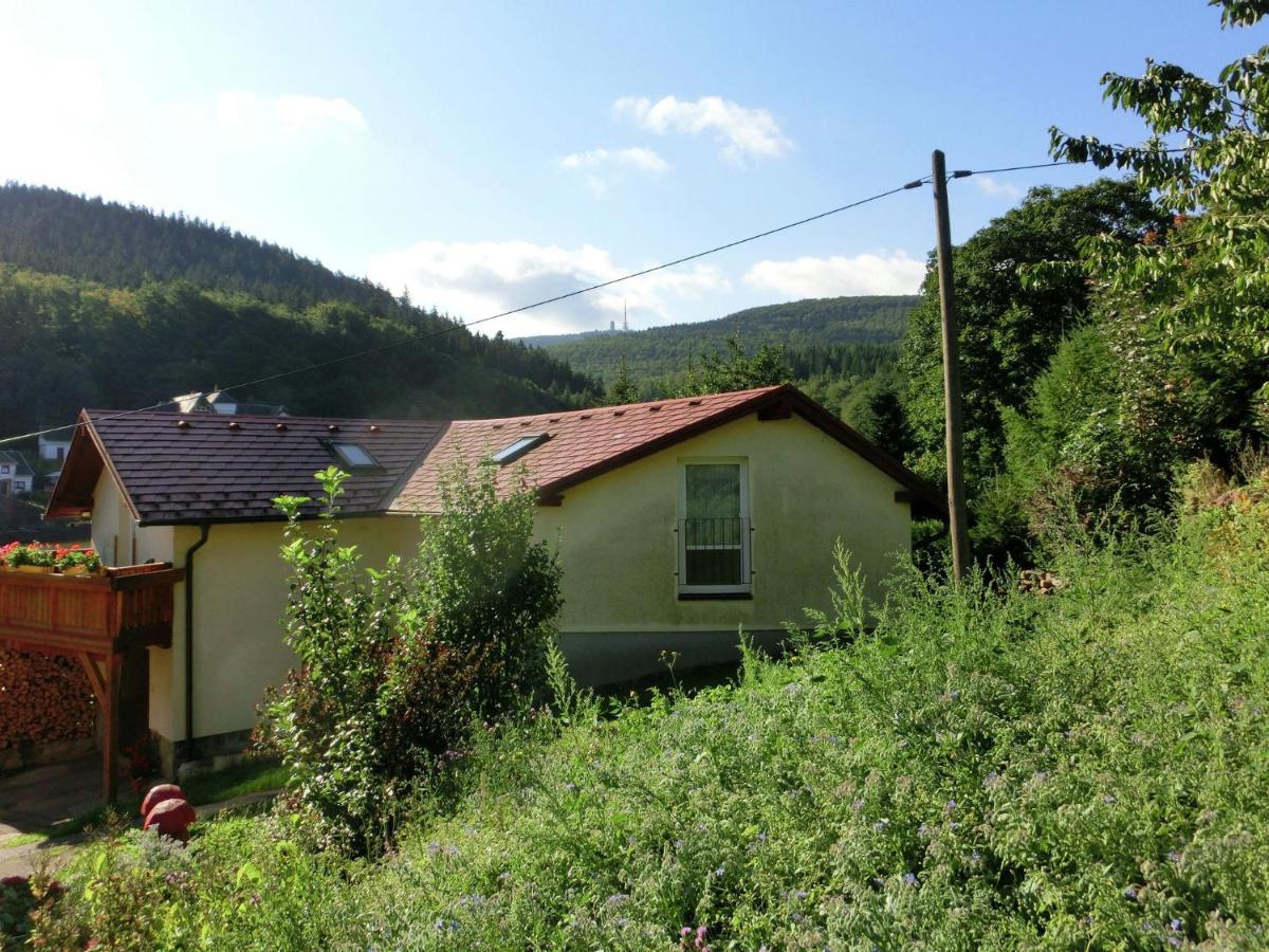 Cottage Near A Ski Resort Winterstein 외부 사진
